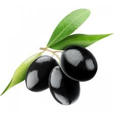 Zeytin / Оливки маслины